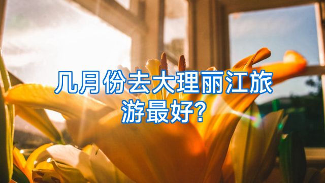 几月份去大理丽江旅游最好?