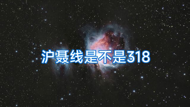 沪聂线是不是318