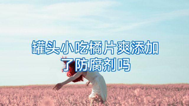 罐头小吃橘片爽添加了防腐剂吗