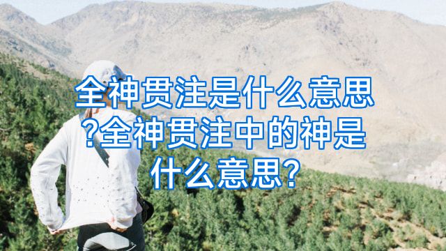 全神贯注是什么意思?全神贯注中的神是什么意思?
