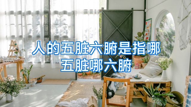 人的五脏六腑是指哪五脏哪六腑