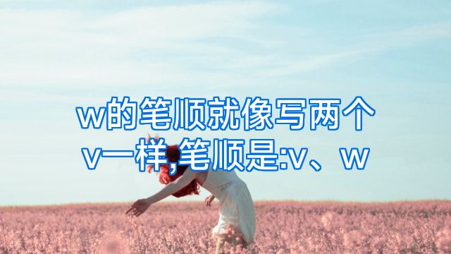 w的笔顺就像写两个v一样,笔顺是:v、w