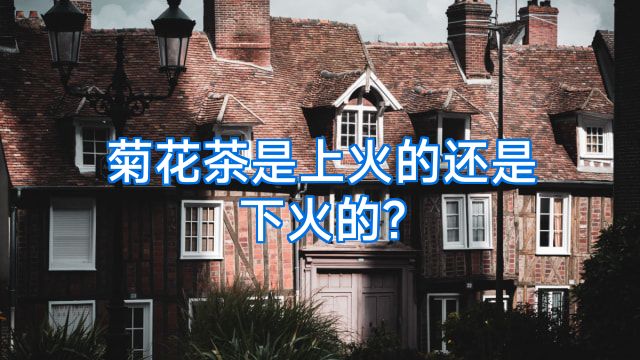 菊花茶是上火的还是下火的?