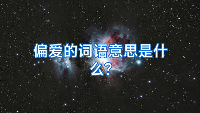 偏爱的词语意思是什么?