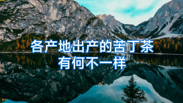 各产地出产的苦丁茶有何不一样