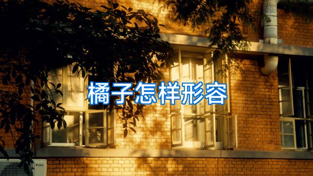 橘子怎样形容