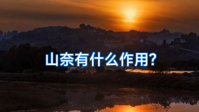 山奈有什么作用?
