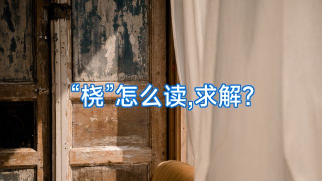 “桡”怎么读,求解?