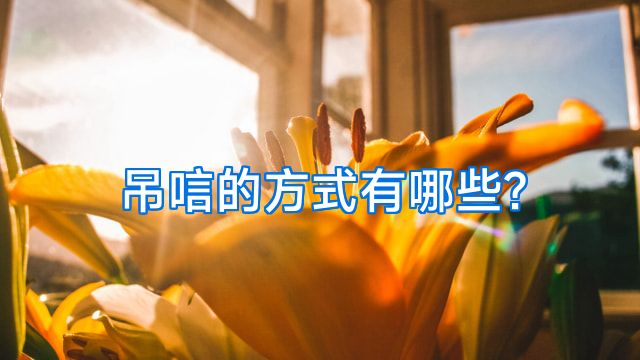 吊唁的方式有哪些?