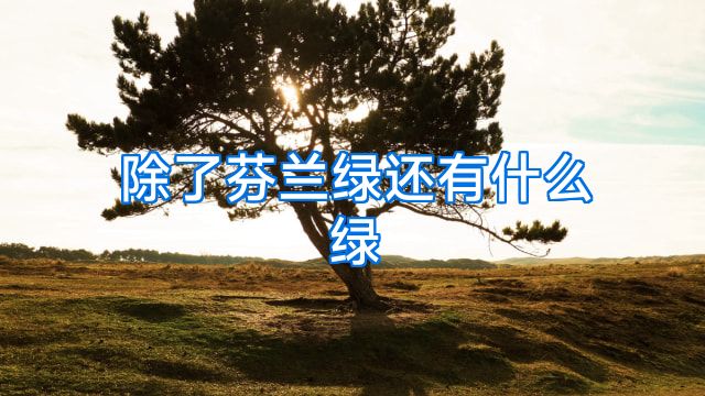 除了芬兰绿还有什么绿