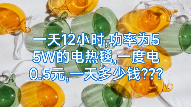 一天12小时,功率为55W的电热毯,一度电0.5元,一天多少钱???