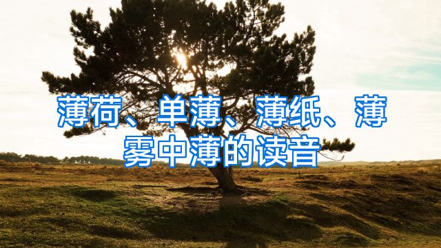 薄荷、单薄、薄纸、薄雾中薄的读音