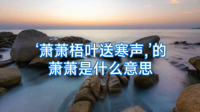 ‘萧萧梧叶送寒声,’的萧萧是什么意思