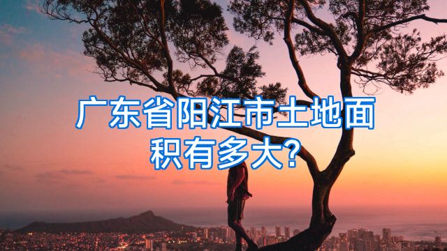 广东省阳江市土地面积有多大?