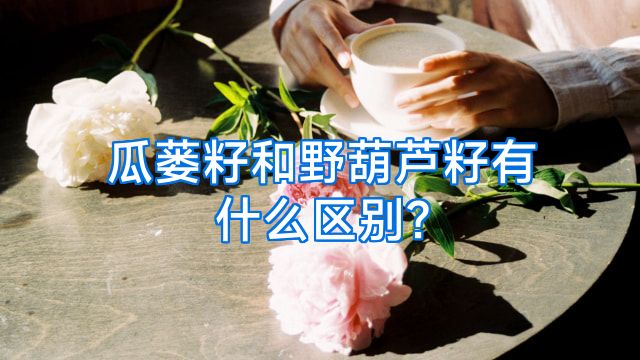 瓜蒌籽和野葫芦籽有什么区别?