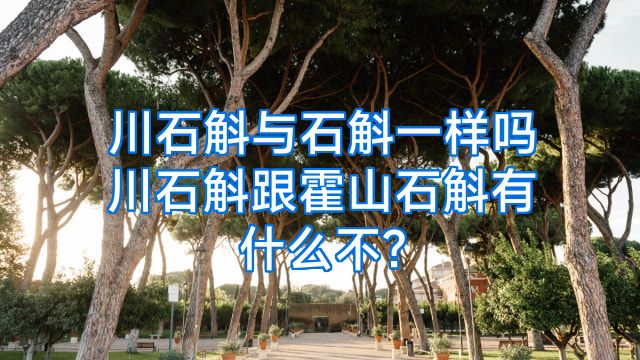 川石斛与石斛一样吗川石斛跟霍山石斛有什么不?