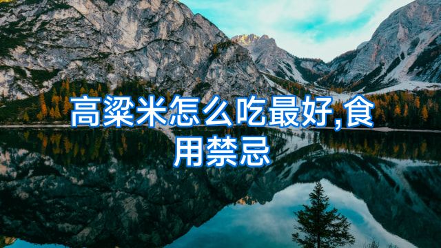 高粱米怎么吃最好,食用禁忌