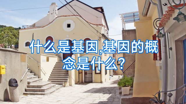 什么是基因,基因的概念是什么?