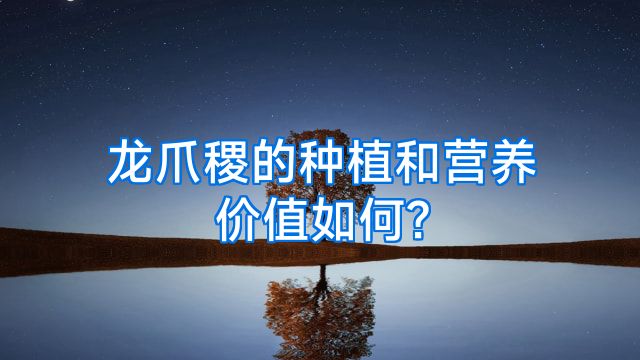 龙爪稷的种植和营养价值如何?