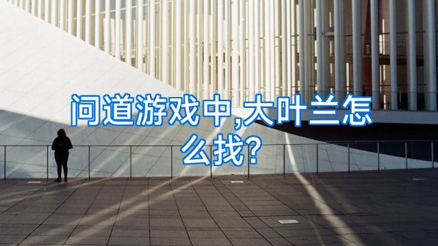问道游戏中,大叶兰怎么找?
