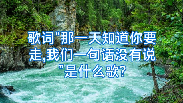 歌词“那一天知道你要走,我们一句话没有说”是什么歌?