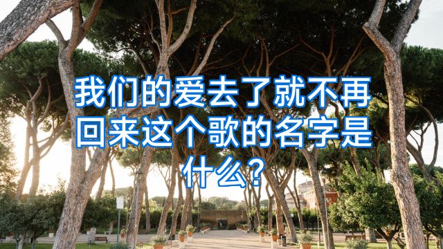 我们的爱去了就不再回来这个歌的名字是什么?