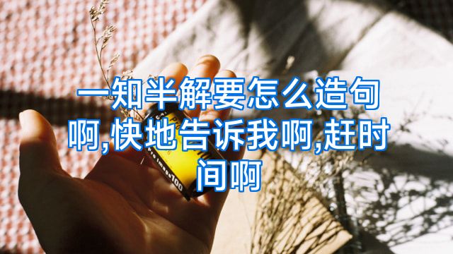 一知半解要怎么造句啊,快地告诉我啊,赶时间啊