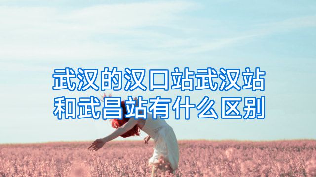 武汉的汉口站武汉站和武昌站有什么区别