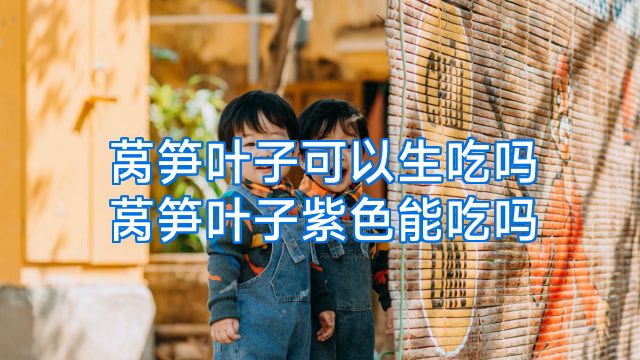 莴笋叶子可以生吃吗莴笋叶子紫色能吃吗