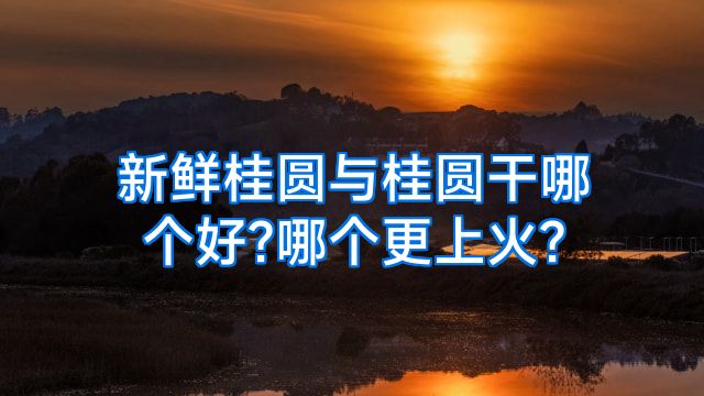 新鲜桂圆与桂圆干哪个好?哪个更上火?