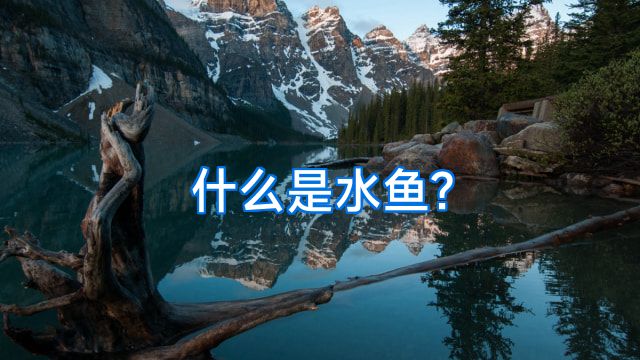 什么是水鱼?