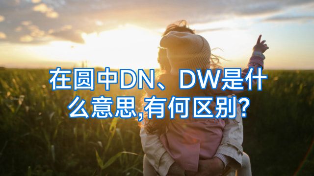 在圆中DN、DW是什么意思,有何区别?