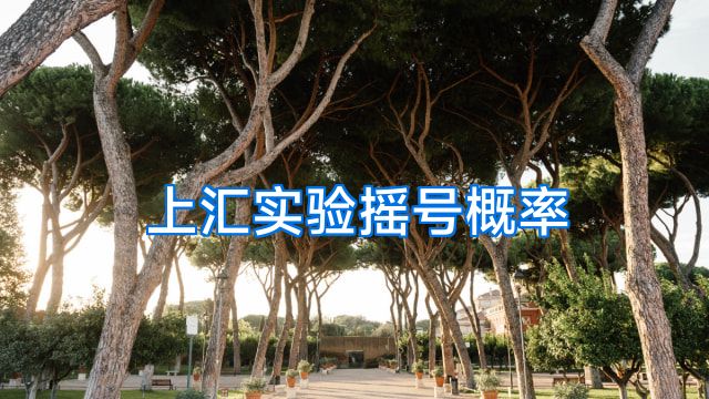 上汇实验摇号概率