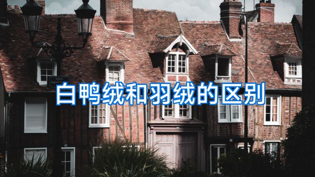 白鸭绒和羽绒的区别