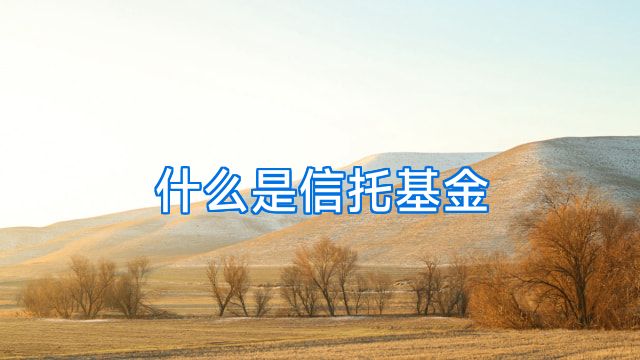 什么是信托基金