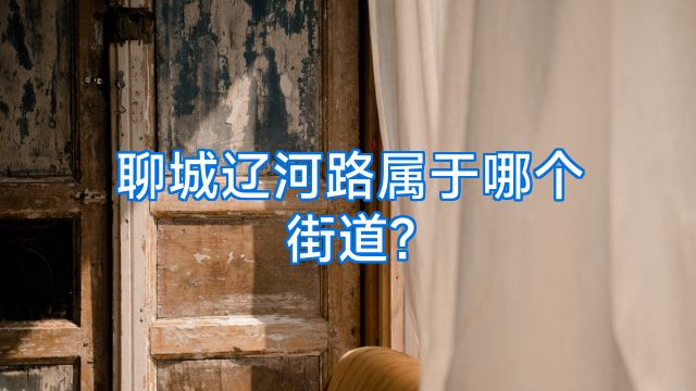 聊城辽河路属于哪个街道?