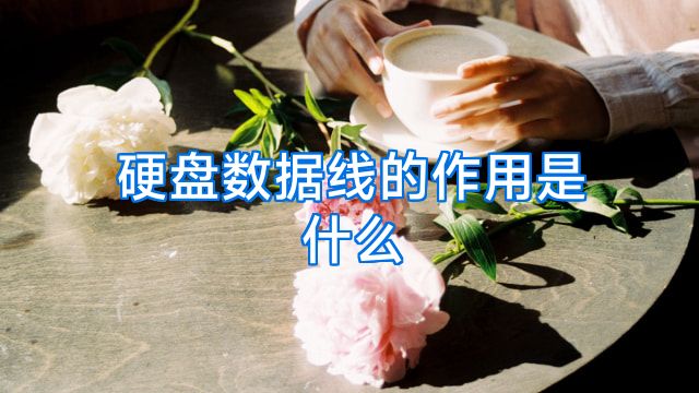 硬盘数据线的作用是什么