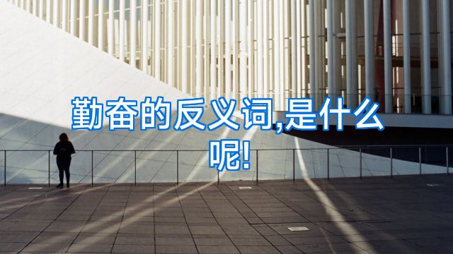 勤奋的反义词,是什么呢!
