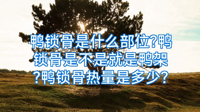 鸭锁骨是什么部位?鸭锁骨是不是就是鸭架?鸭锁骨热量是多少?