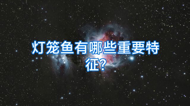 灯笼鱼有哪些重要特征?