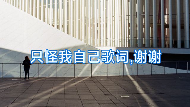 只怪我自己歌词,谢谢