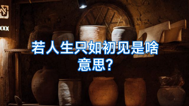 若人生只如初见是啥意思?
