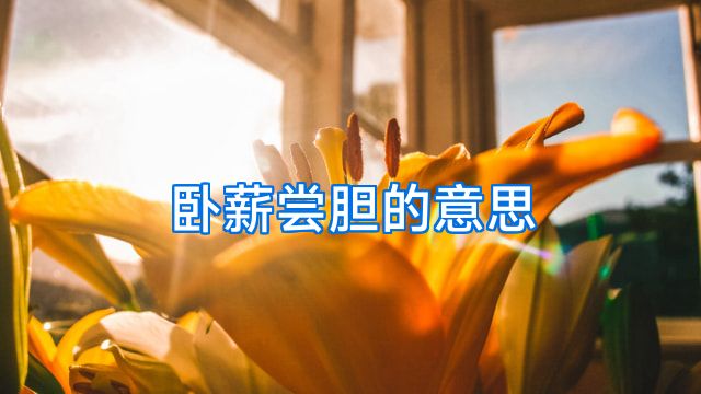 卧薪尝胆的意思