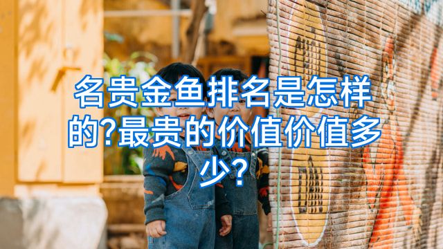 名贵金鱼排名是怎样的?最贵的价值价值多少?