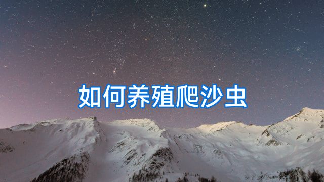 如何养殖爬沙虫
