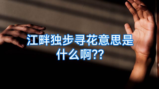江畔独步寻花意思是什么啊??