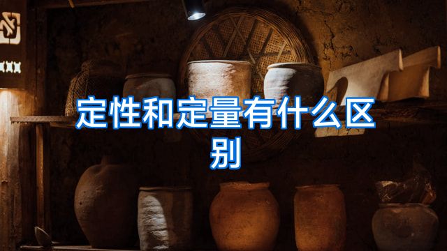 定性和定量有什么区别