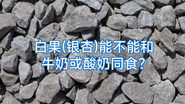白果(银杏)能不能和牛奶或酸奶同食?