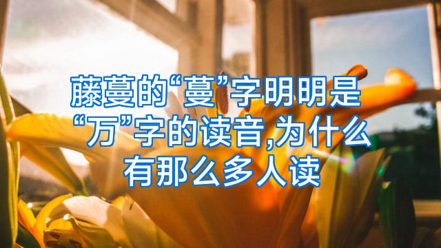 藤蔓的“蔓”字明明是“万”字的读音,为什么有那么多人读