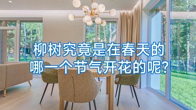 柳树究竟是在春天的哪一个节气开花的呢?